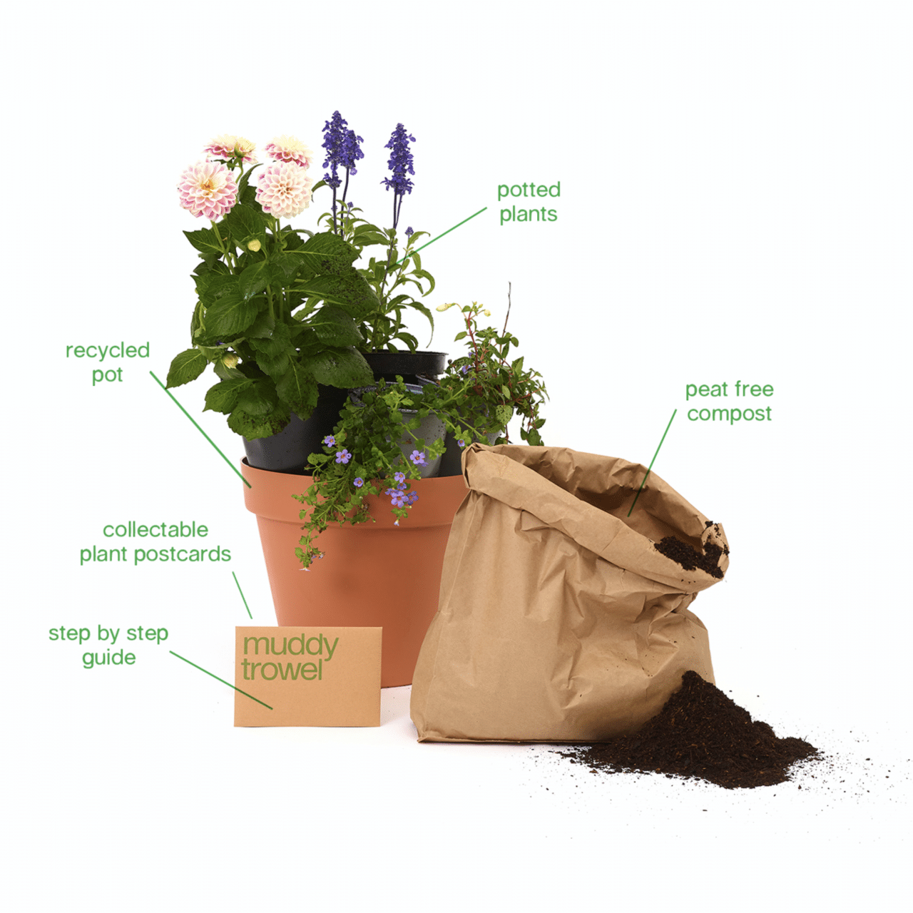 A potted plant next to some peat-free compost in a bag 