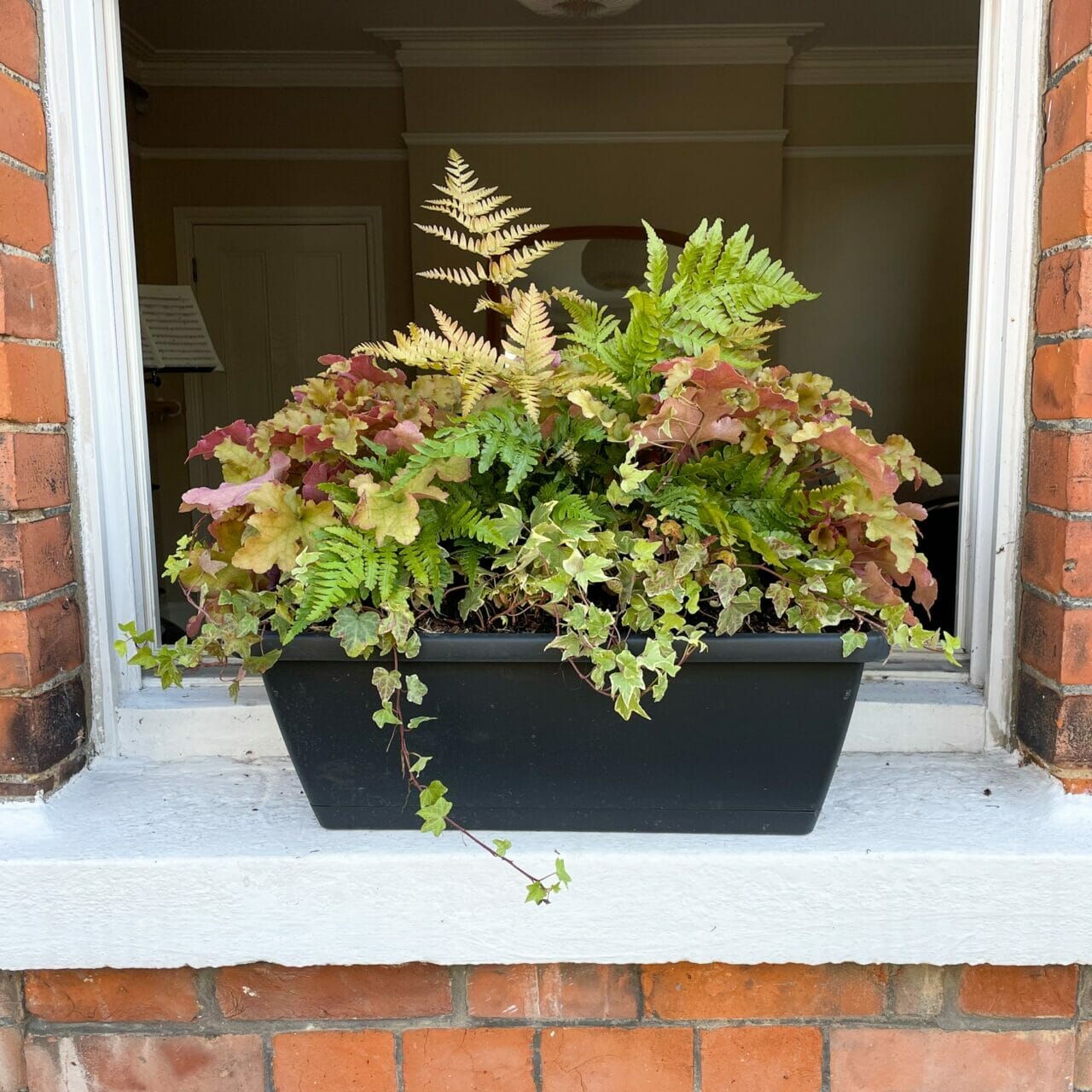 The Forest Floor Window Box. Autumn evergreen plants for window boxes