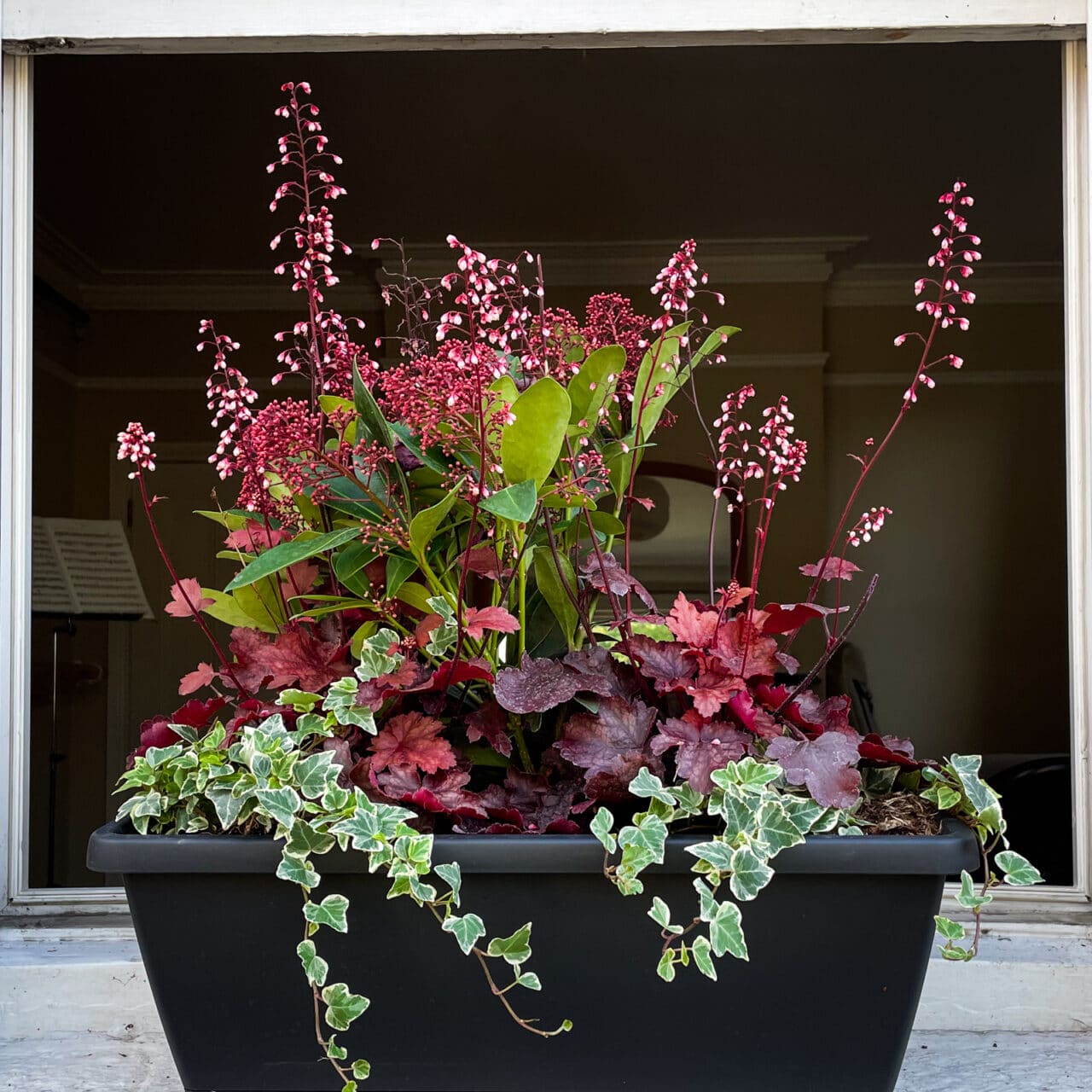 Fire Starter Window Box, autumn plant window box collection