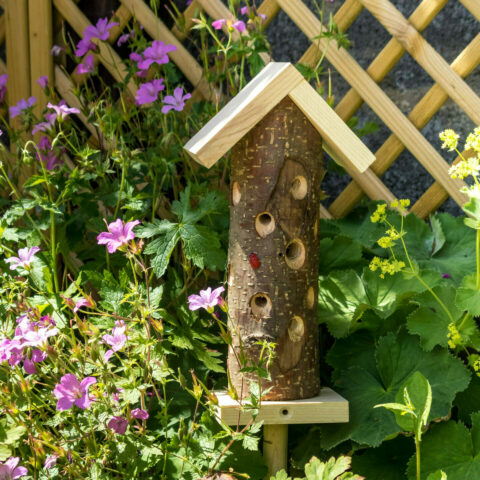 Insect Tower